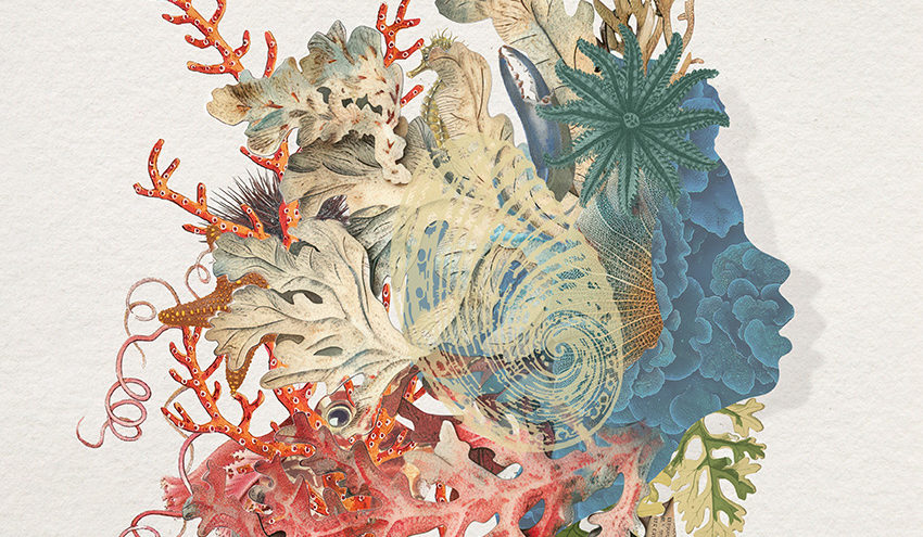 cover-maluca-beleza-des-rivages-by-peurduloup